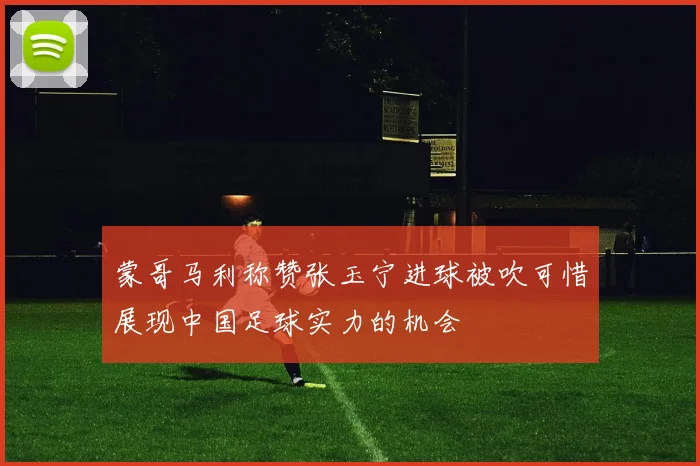 蒙哥马利称赞张玉宁进球被吹可惜展现中国足球实力的机会
